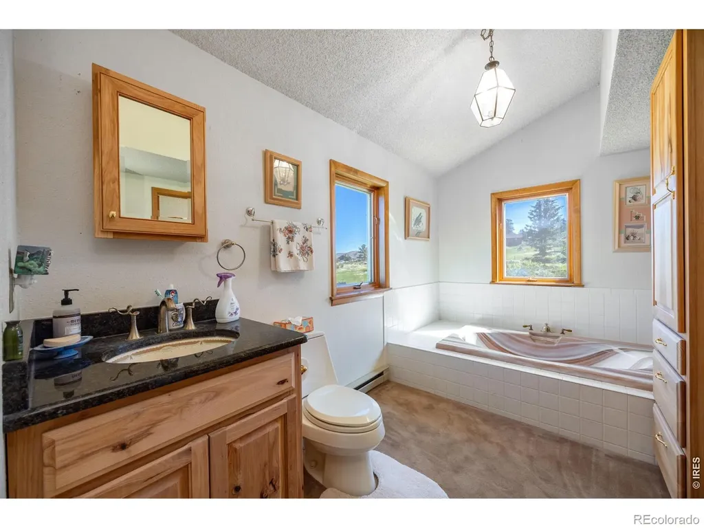 678 Palisade Mountain Drive Drake CO 80515