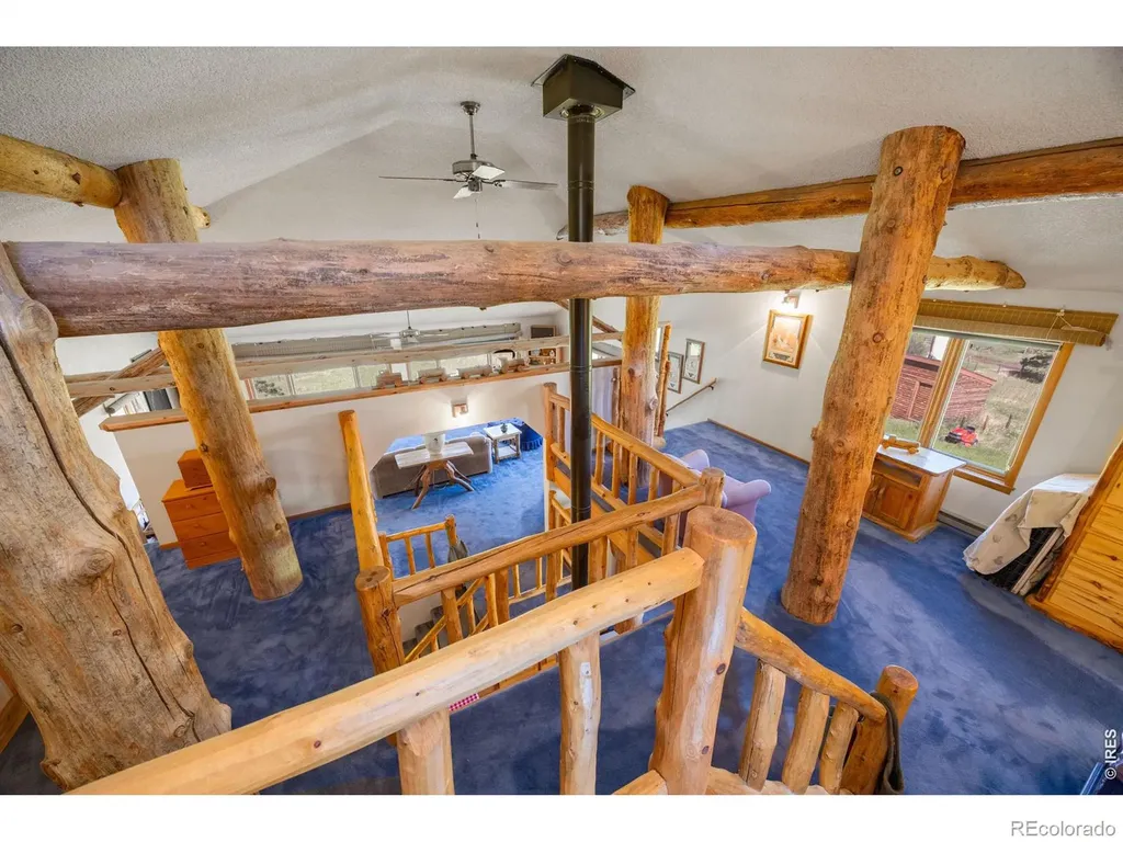 678 Palisade Mountain Drive Drake CO 80515