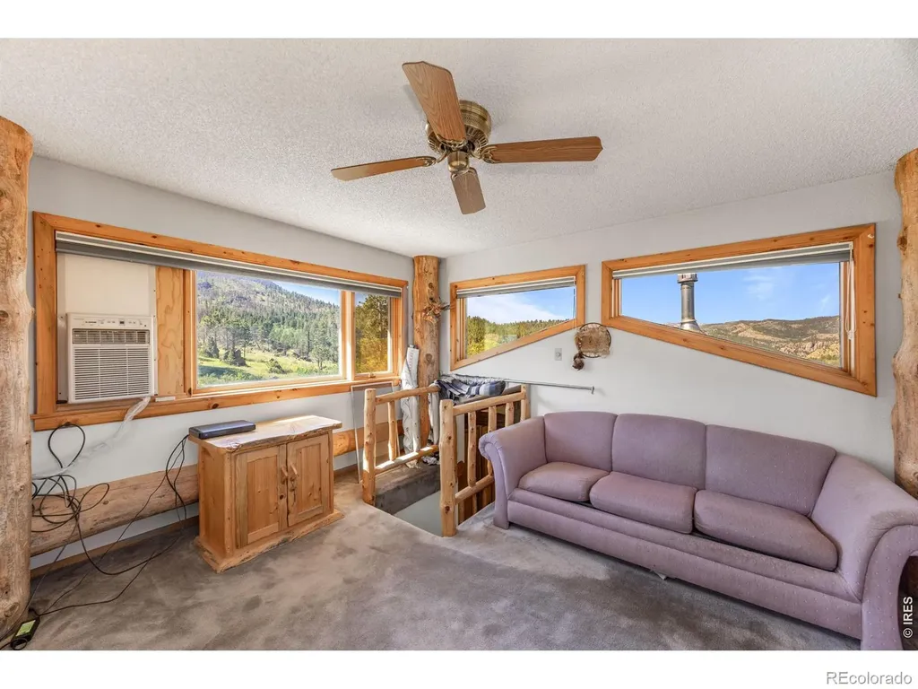 678 Palisade Mountain Drive Drake CO 80515