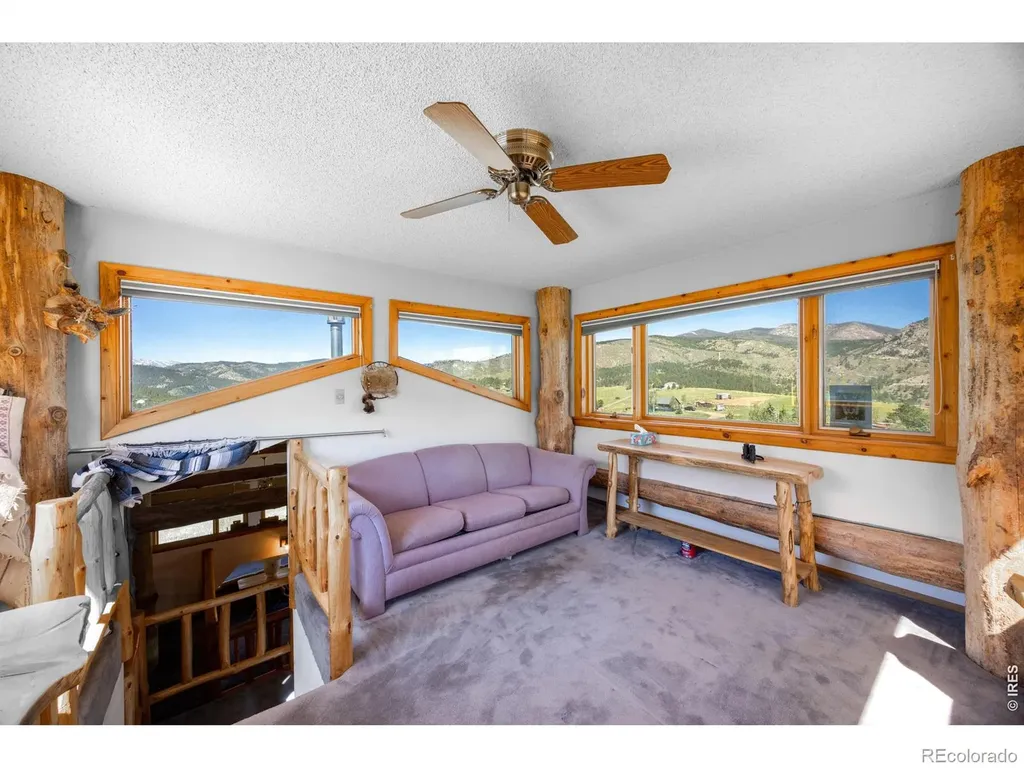 678 Palisade Mountain Drive Drake CO 80515