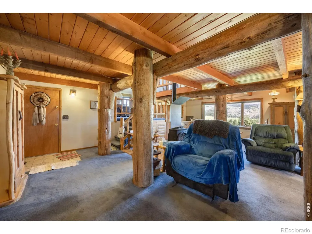 678 Palisade Mountain Drive Drake CO 80515
