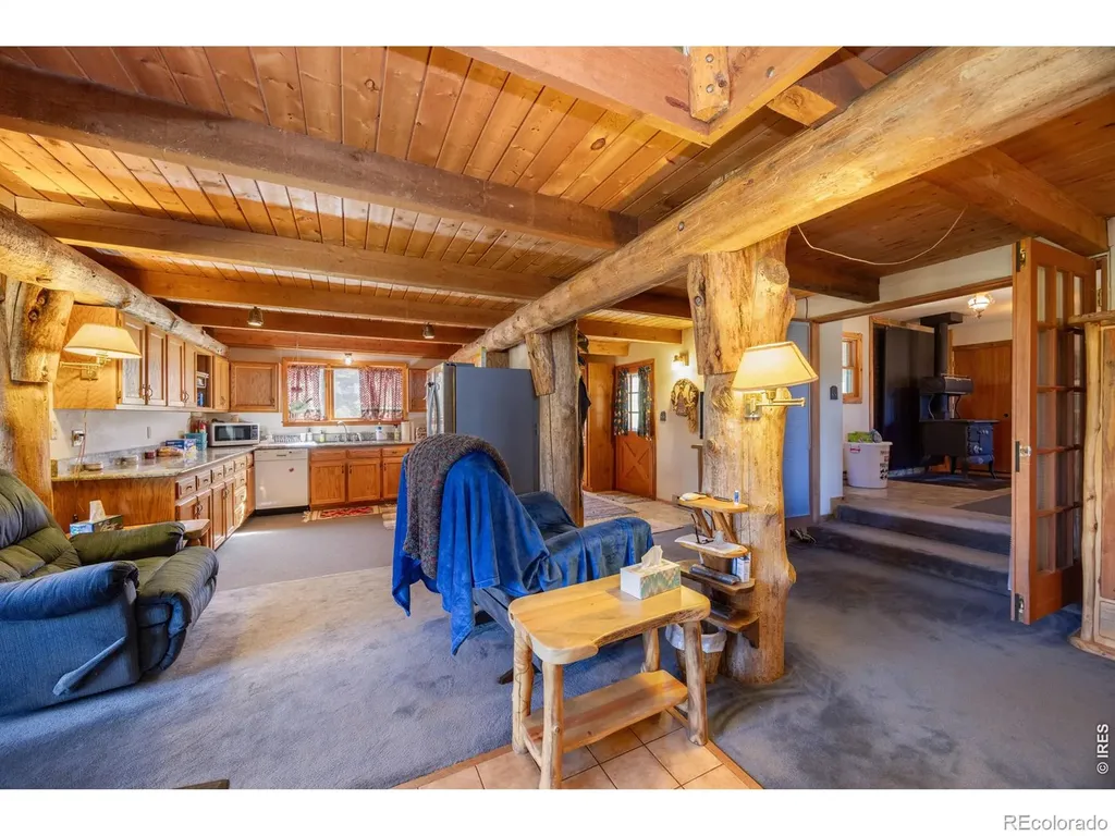 678 Palisade Mountain Drive Drake CO 80515