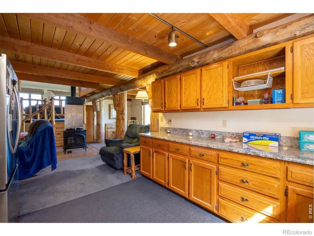 678 Palisade Mountain Drive Drake CO 80515