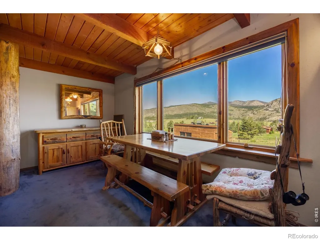 678 Palisade Mountain Drive Drake CO 80515