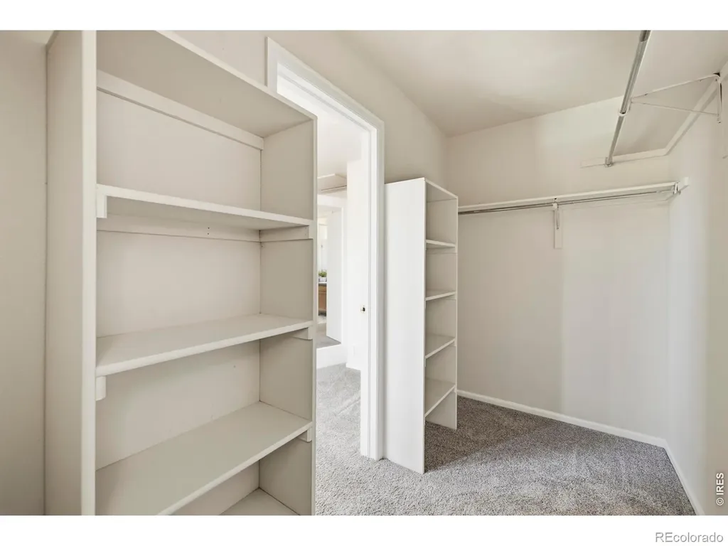 3917 Kennedy Avenue Wellington CO 80549