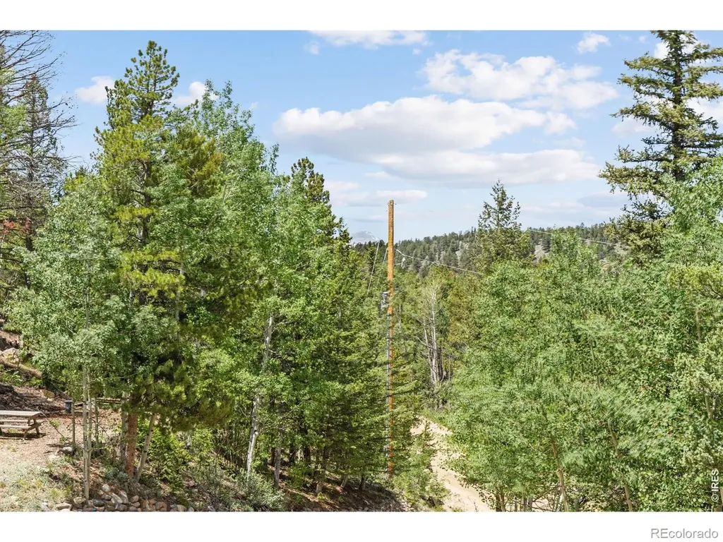 277 Hummer Drive Nederland CO 80466
