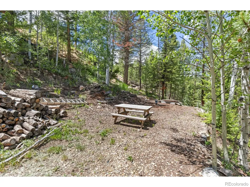 277 Hummer Drive Nederland CO 80466