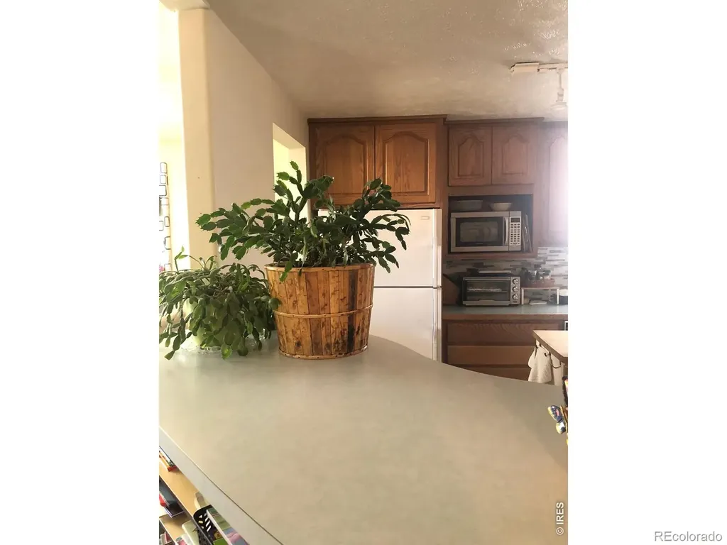 3133 Birmingham Drive Fort Collins CO 80526