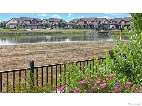 6236 Vernazza Way Windsor CO 80550