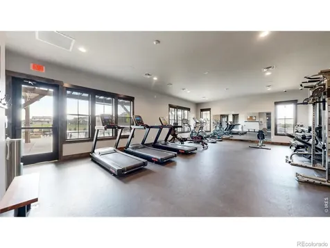 6236 Vernazza Way Windsor CO 80550