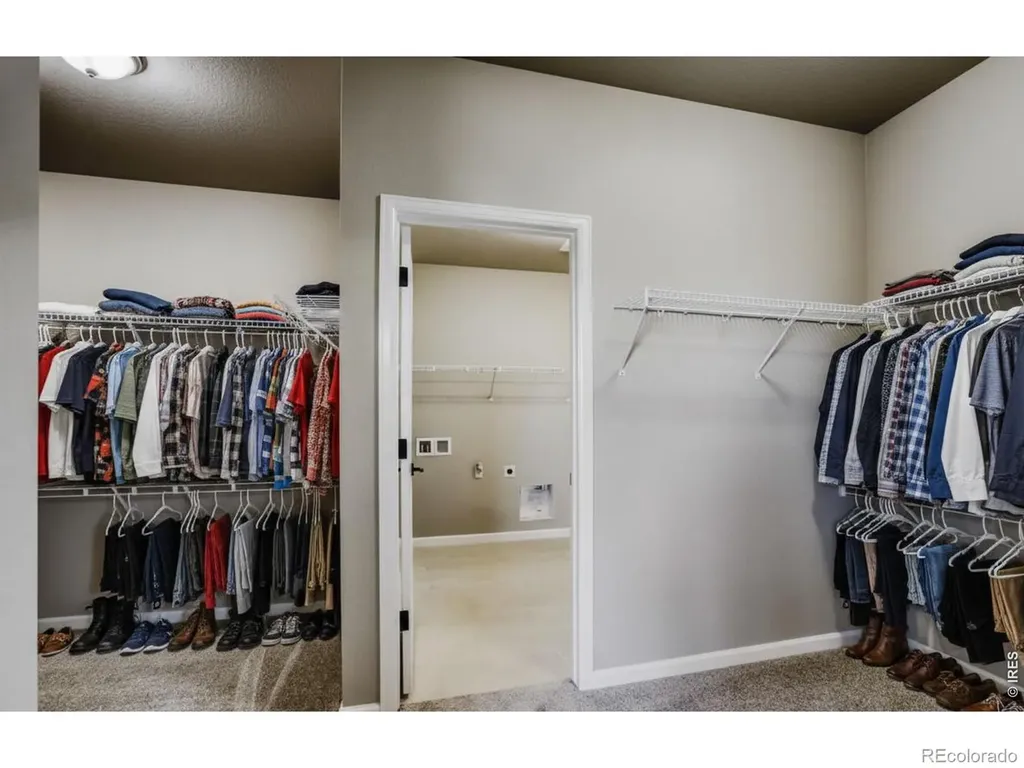 662 Noola Street Windsor CO 80550