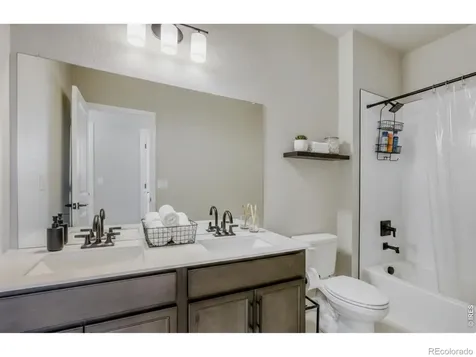 662 Noola Street Windsor CO 80550