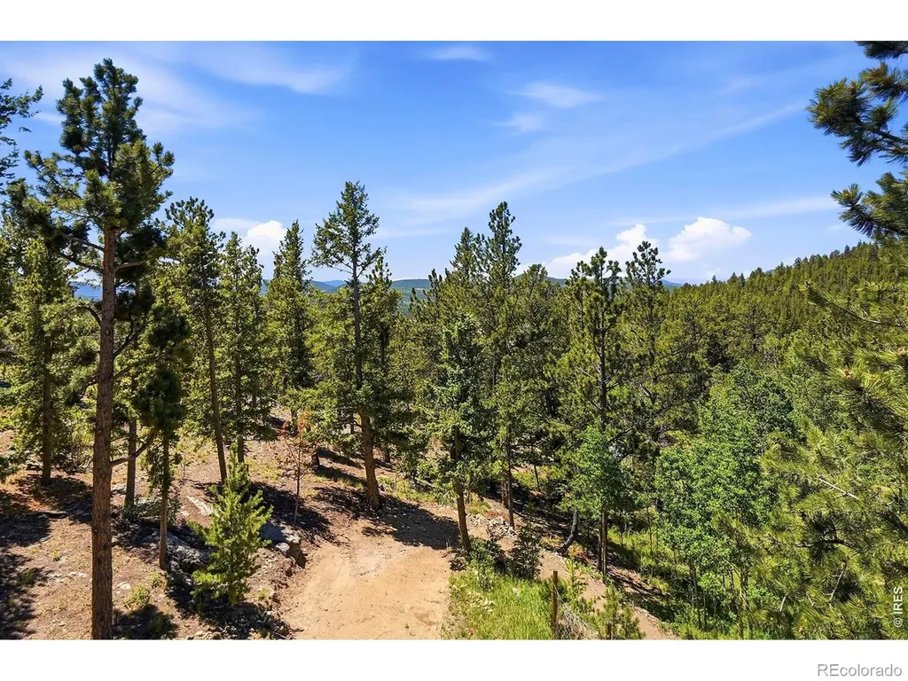 212 Elk Place Black Hawk CO 80422
