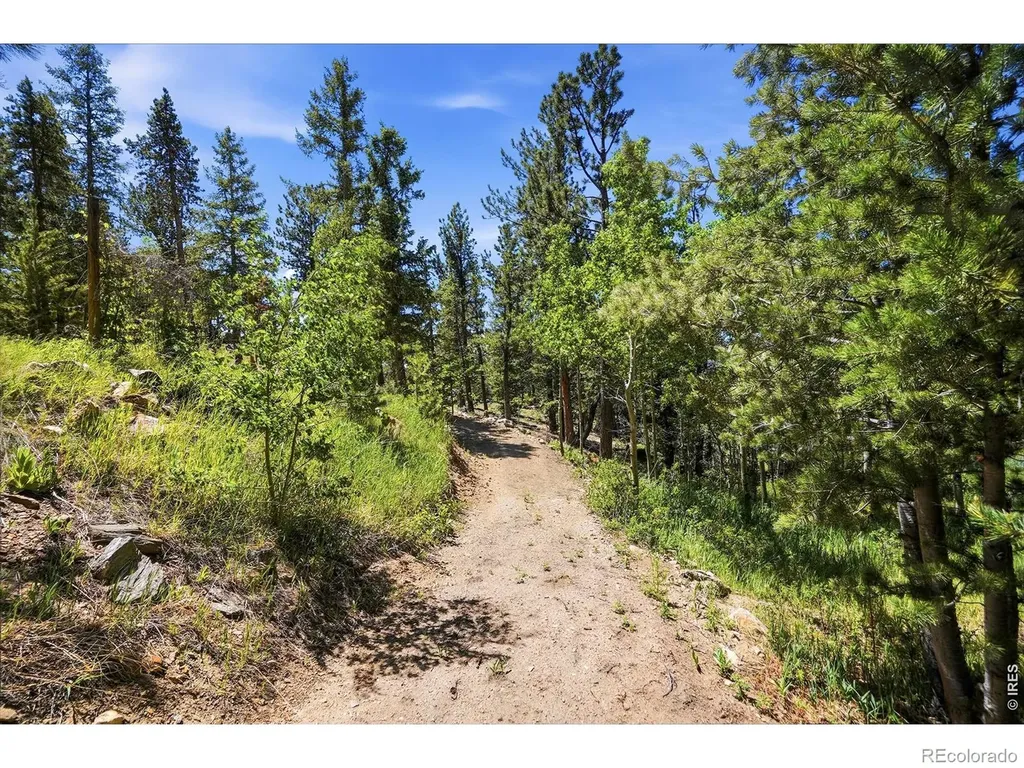 212 Elk Place Black Hawk CO 80422