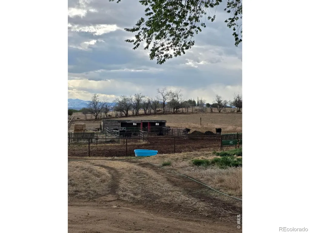 20219 County Road 3 Berthoud CO 80513