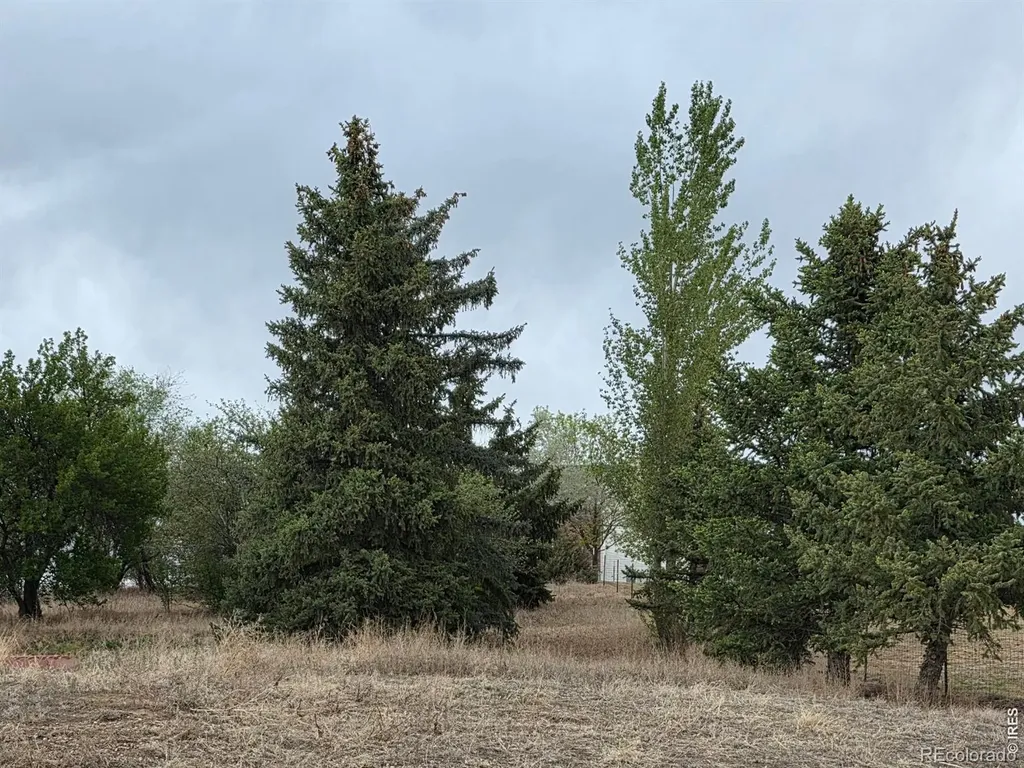 20219 County Road 3 Berthoud CO 80513