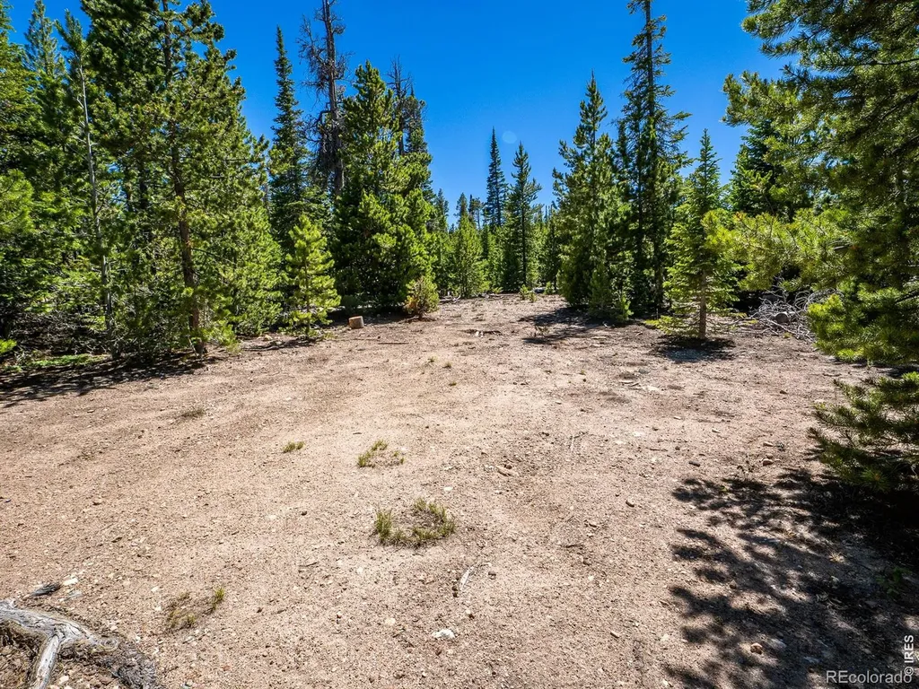 231 Nanticoke Court Red Feather Lakes CO 80545