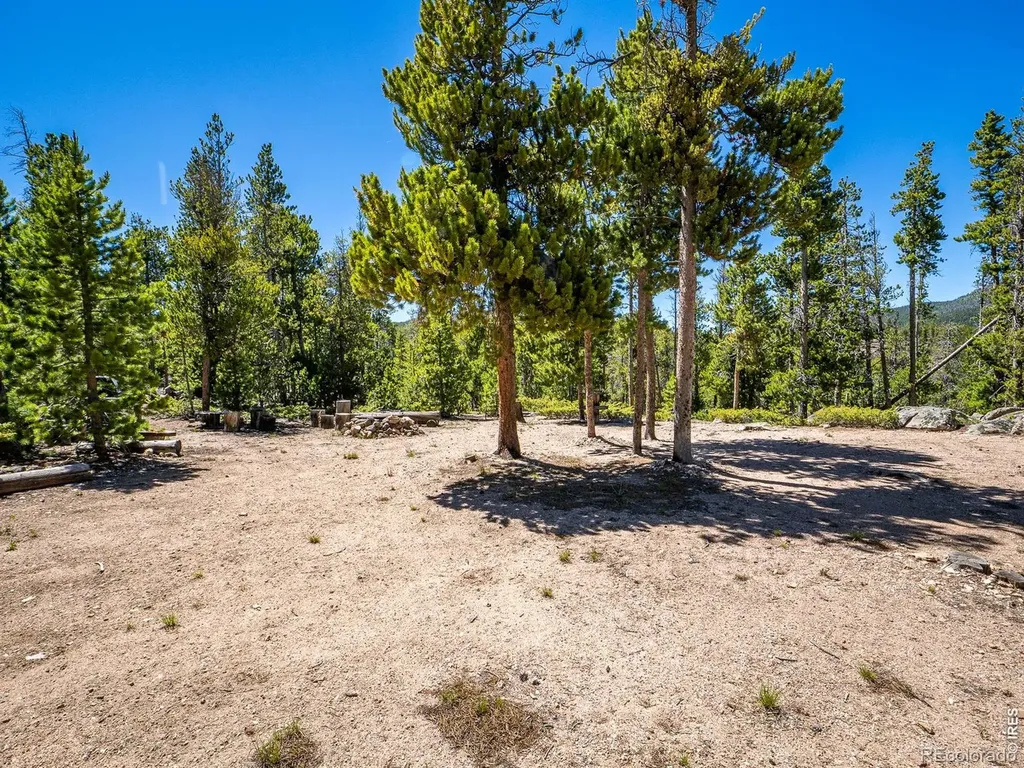 231 Nanticoke Court Red Feather Lakes CO 80545