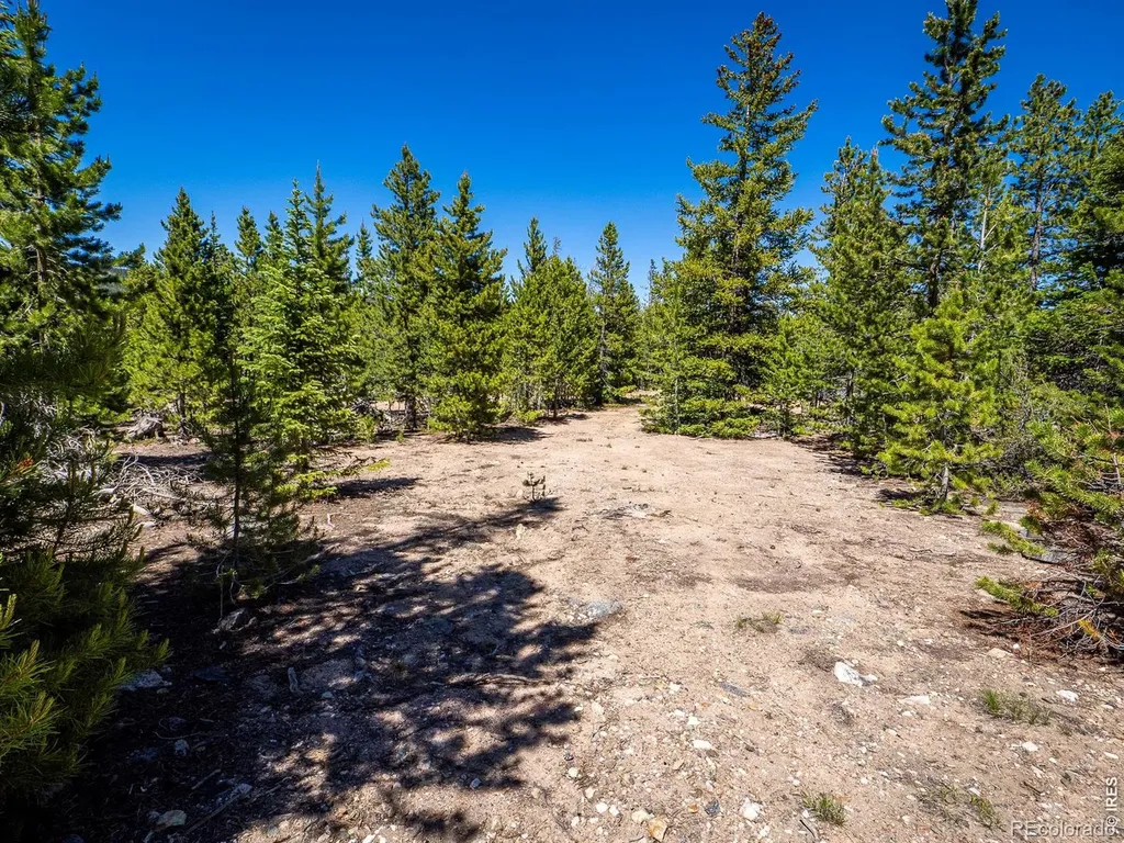 231 Nanticoke Court Red Feather Lakes CO 80545