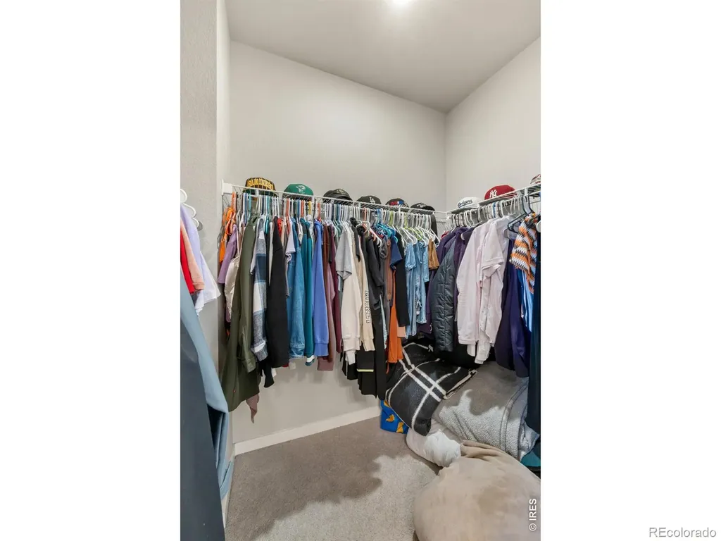 1209 Coyote Lane Wiggins CO 80654