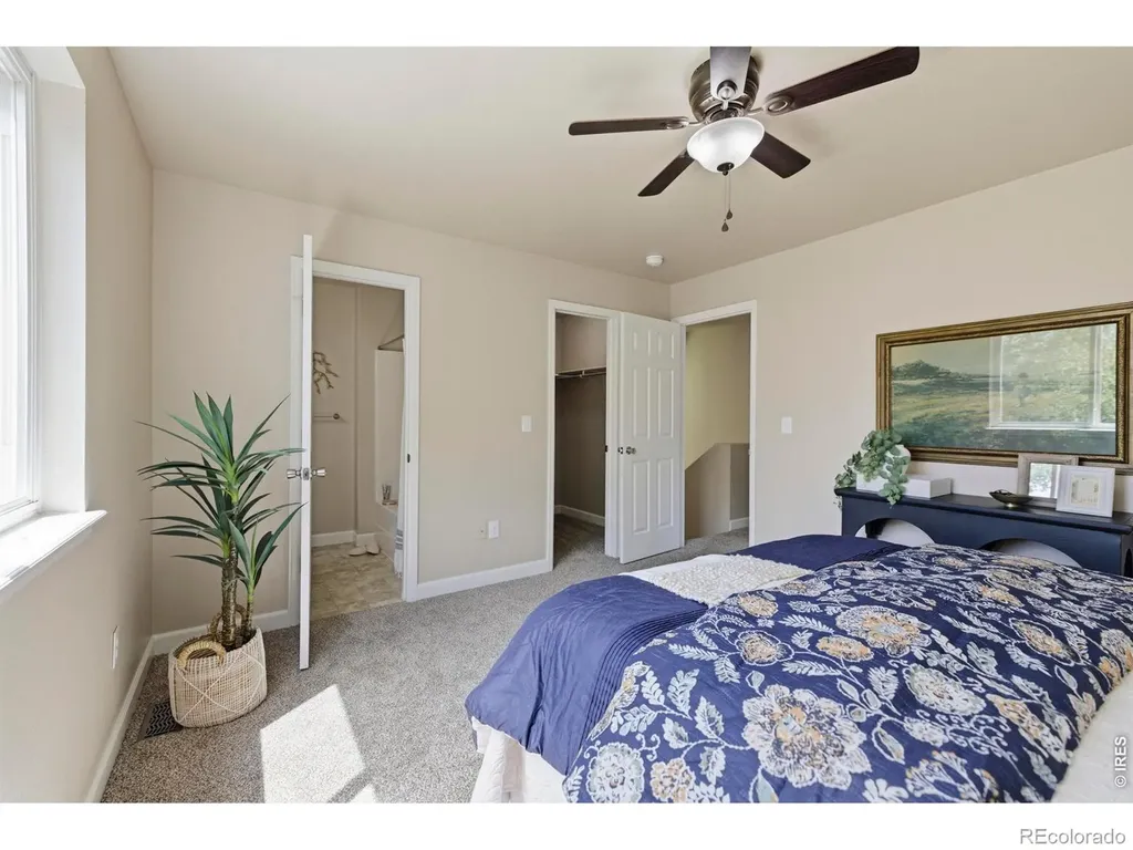 593 Lavastone Avenue Loveland CO 80537