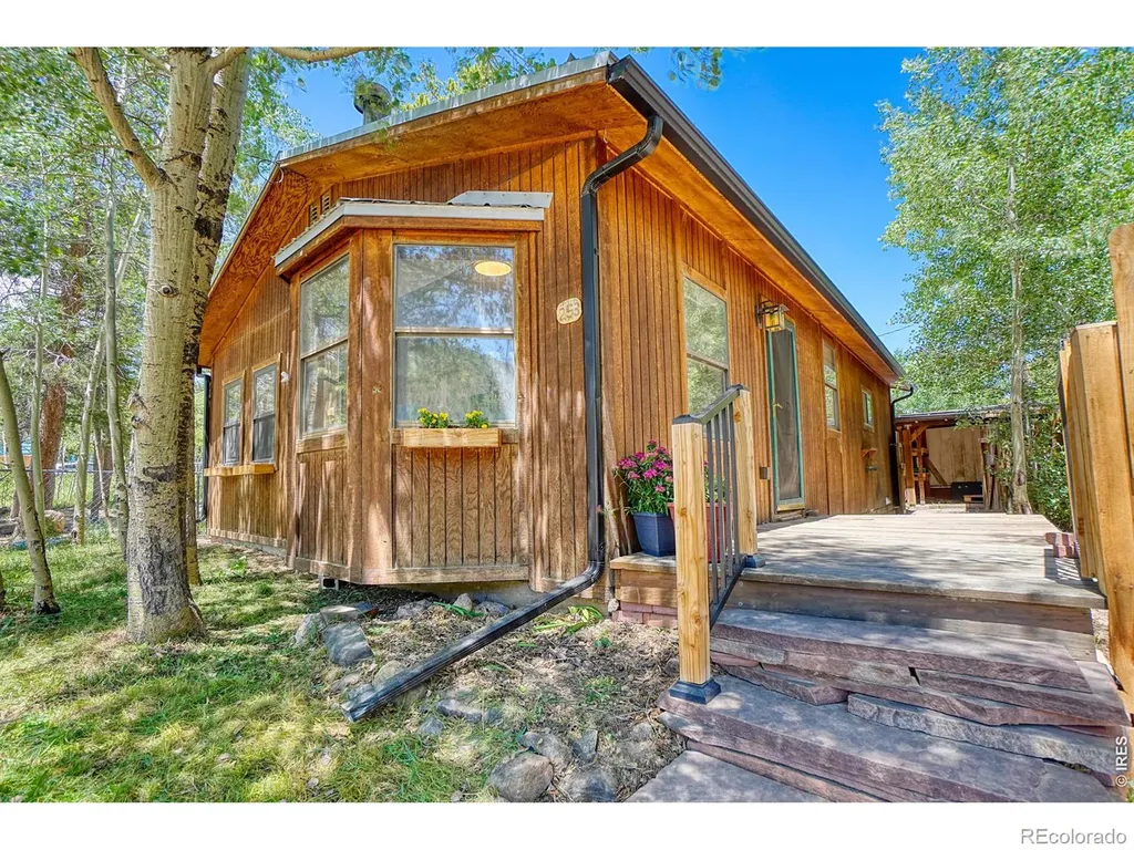 253 W Breed Street Nederland CO 80466