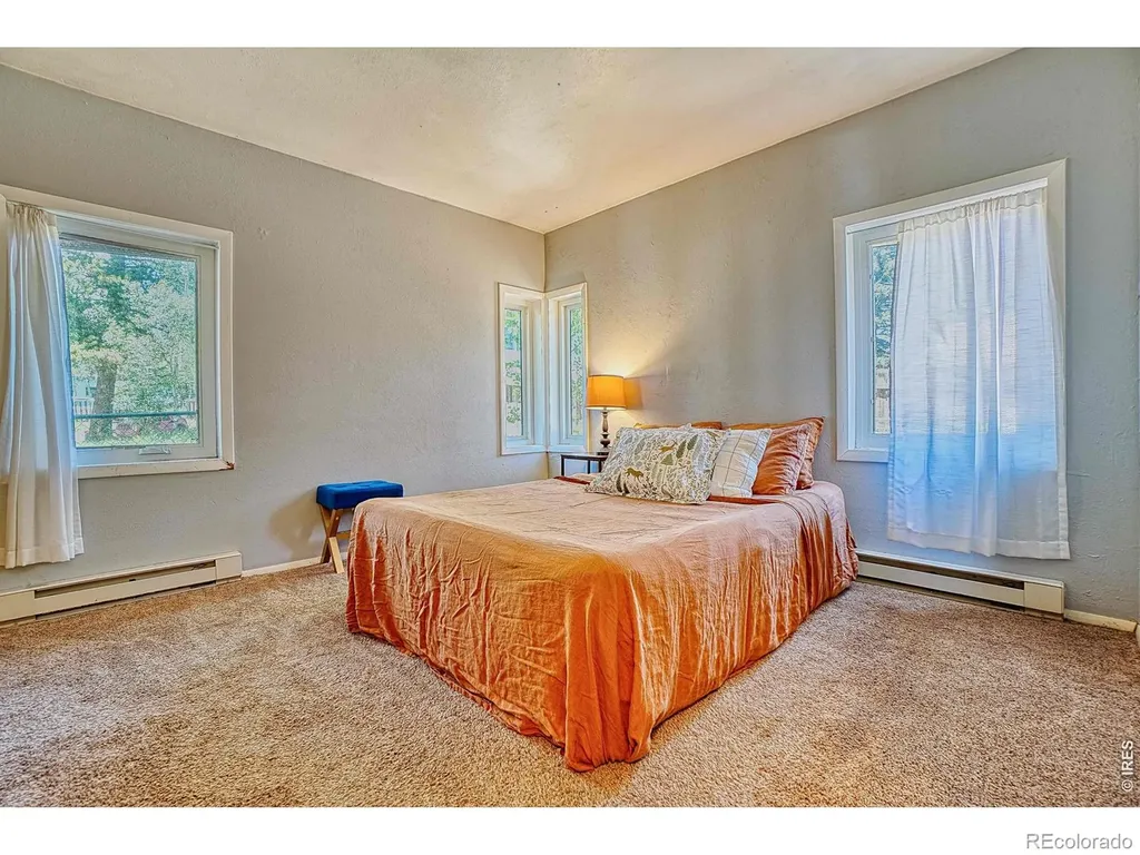 253 W Breed Street Nederland CO 80466