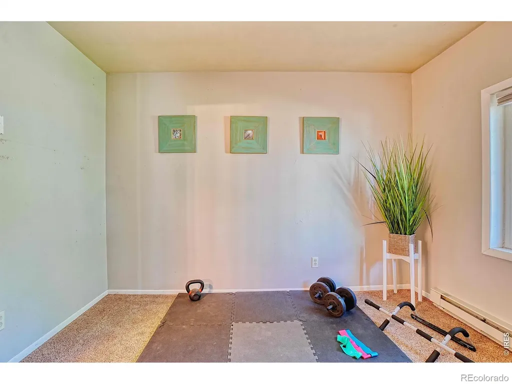 253 W Breed Street Nederland CO 80466