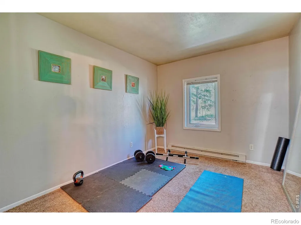 253 W Breed Street Nederland CO 80466