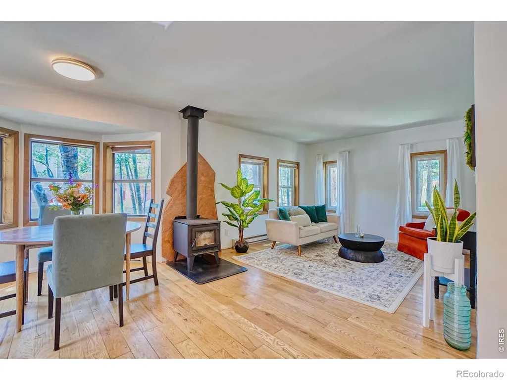 253 W Breed Street Nederland CO 80466