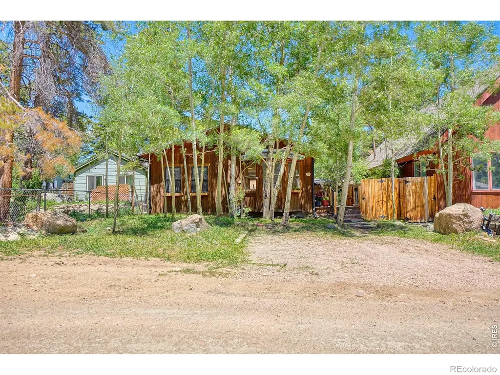 253 W Breed Street Nederland CO 80466