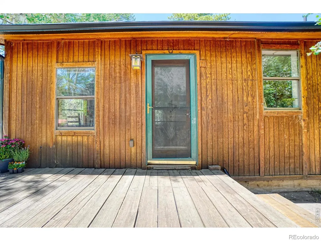 253 W Breed Street Nederland CO 80466