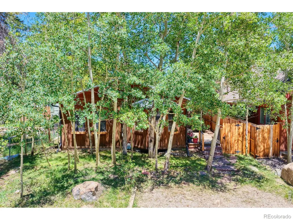 253 W Breed Street Nederland CO 80466