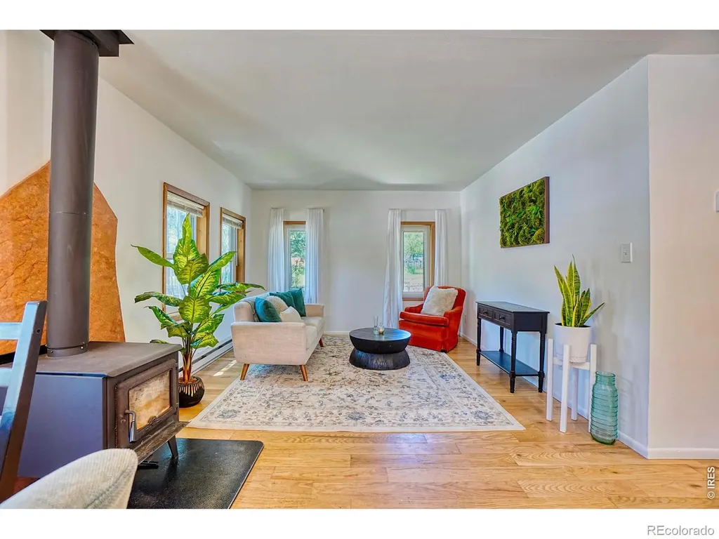 253 W Breed Street Nederland CO 80466