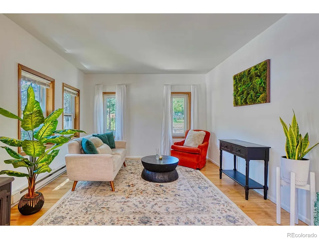 253 W Breed Street Nederland CO 80466