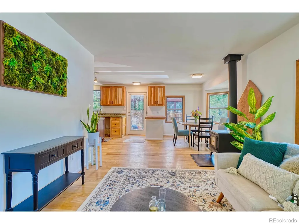 253 W Breed Street Nederland CO 80466