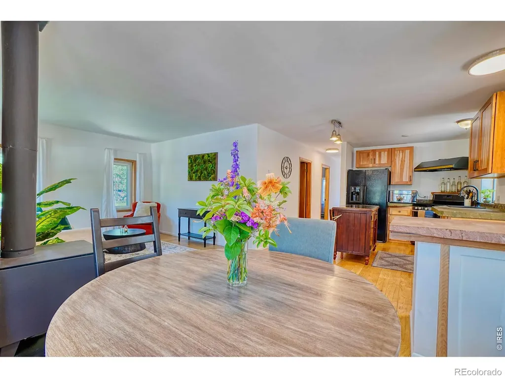 253 W Breed Street Nederland CO 80466