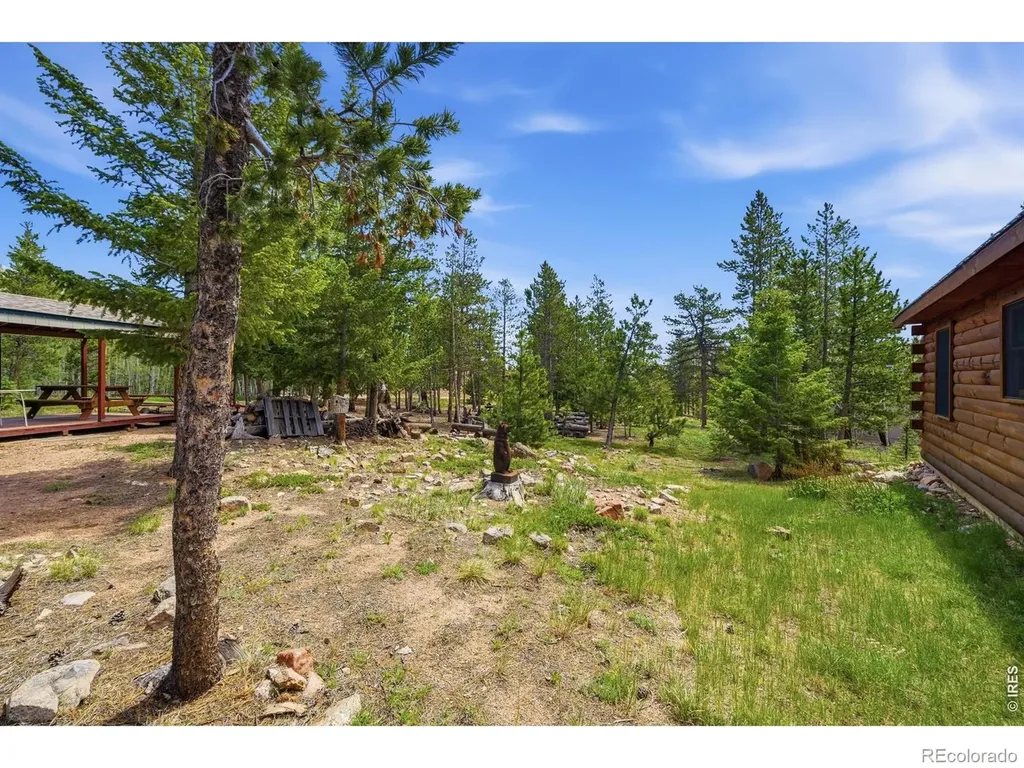 132 Tonkawa Drive Red Feather Lakes CO 80545