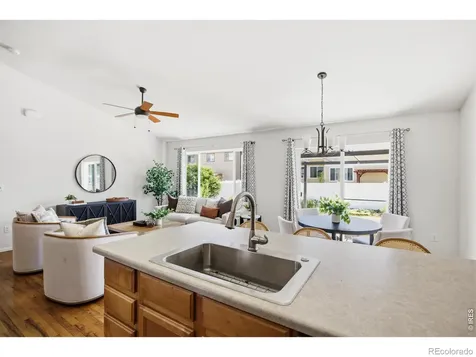807 Saiga Drive Windsor CO 80550