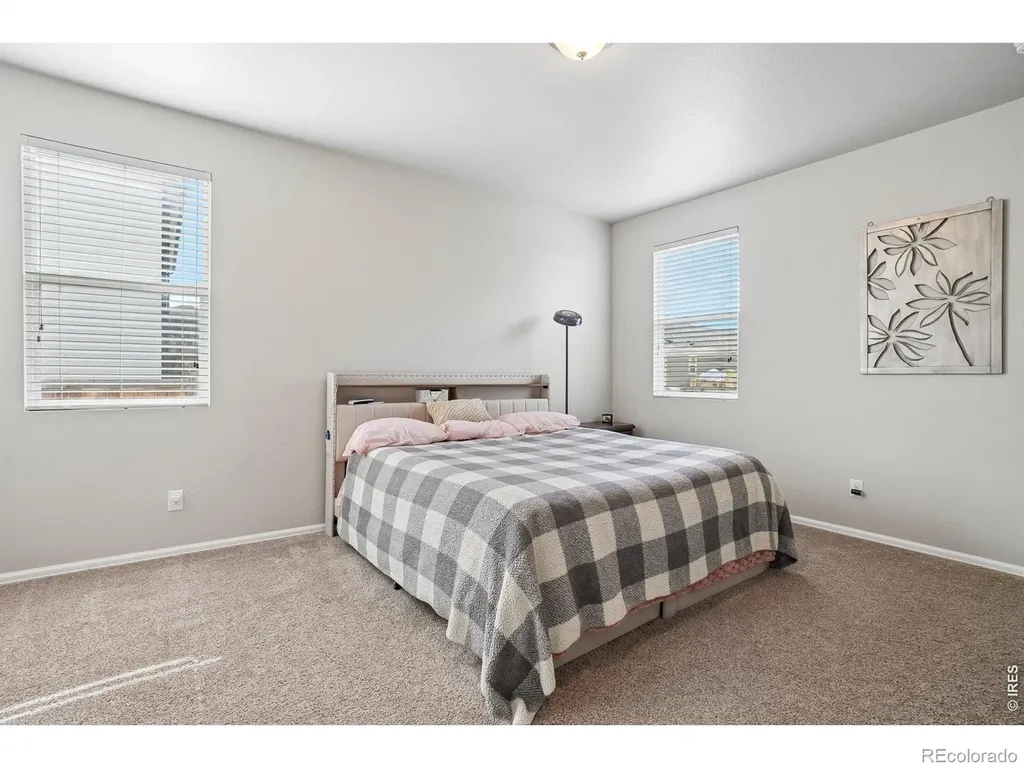 3622 Torch Lily Street Wellington CO 80549