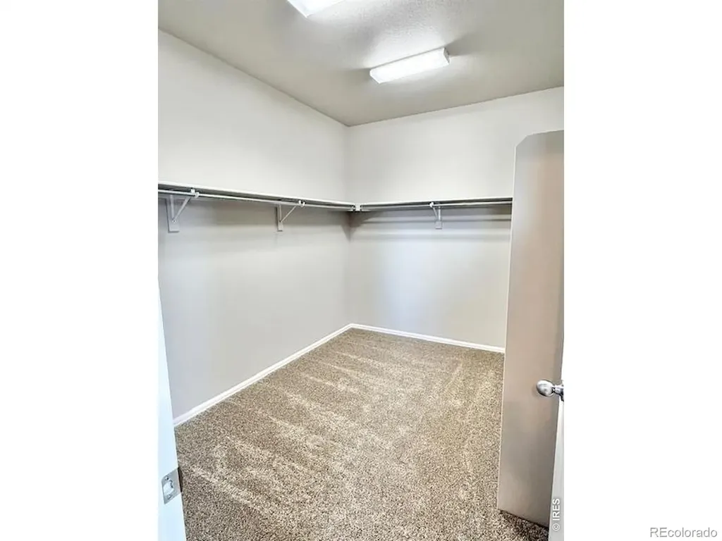 3622 Torch Lily Street Wellington CO 80549