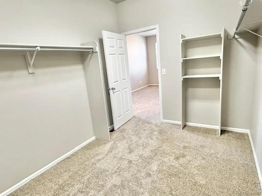 3622 Torch Lily Street Wellington CO 80549