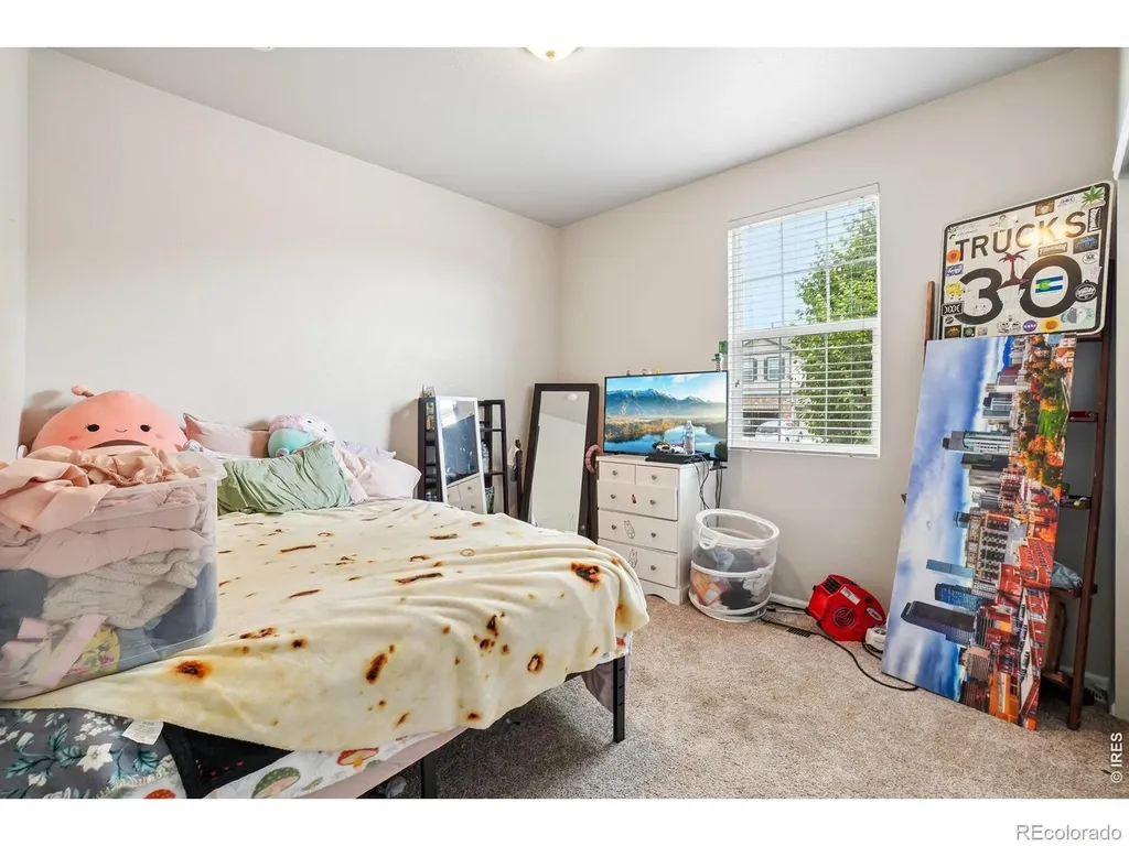 3622 Torch Lily Street Wellington CO 80549