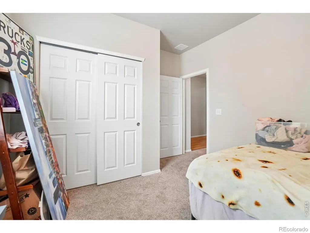 3622 Torch Lily Street Wellington CO 80549