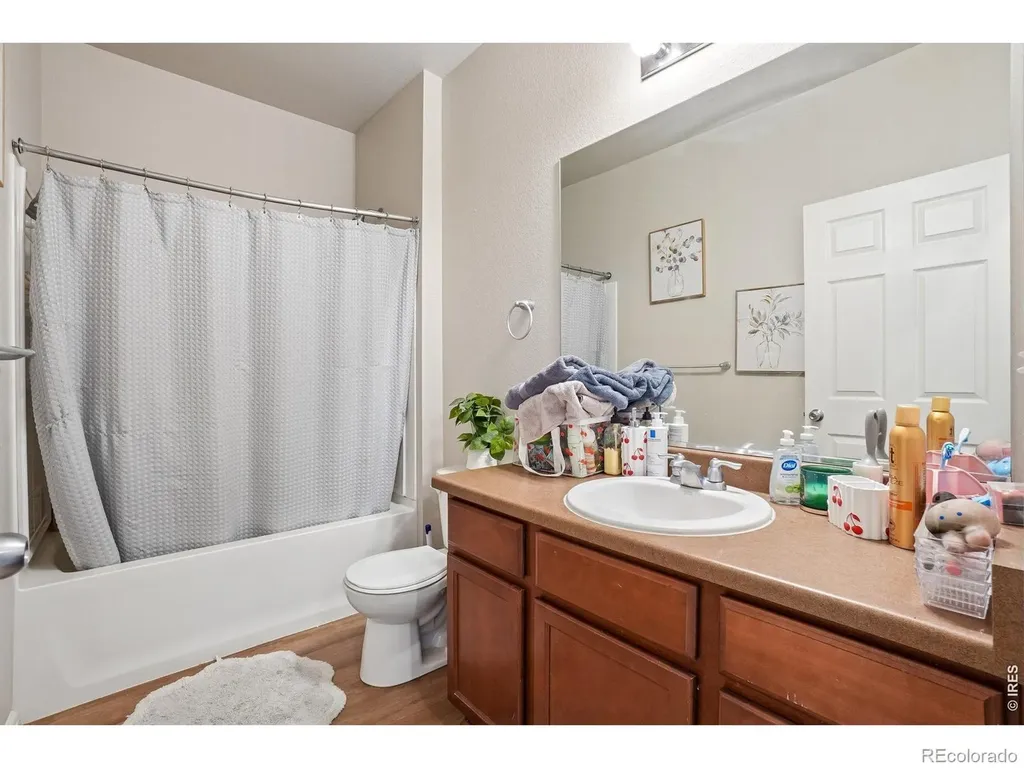 3622 Torch Lily Street Wellington CO 80549