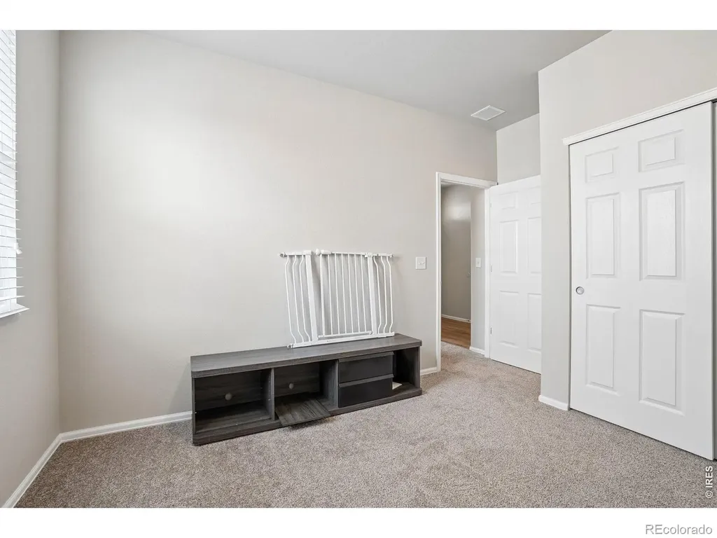 3622 Torch Lily Street Wellington CO 80549