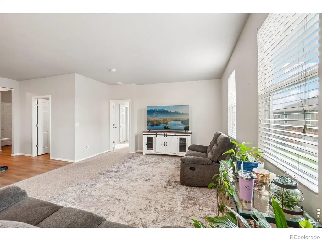 3622 Torch Lily Street Wellington CO 80549