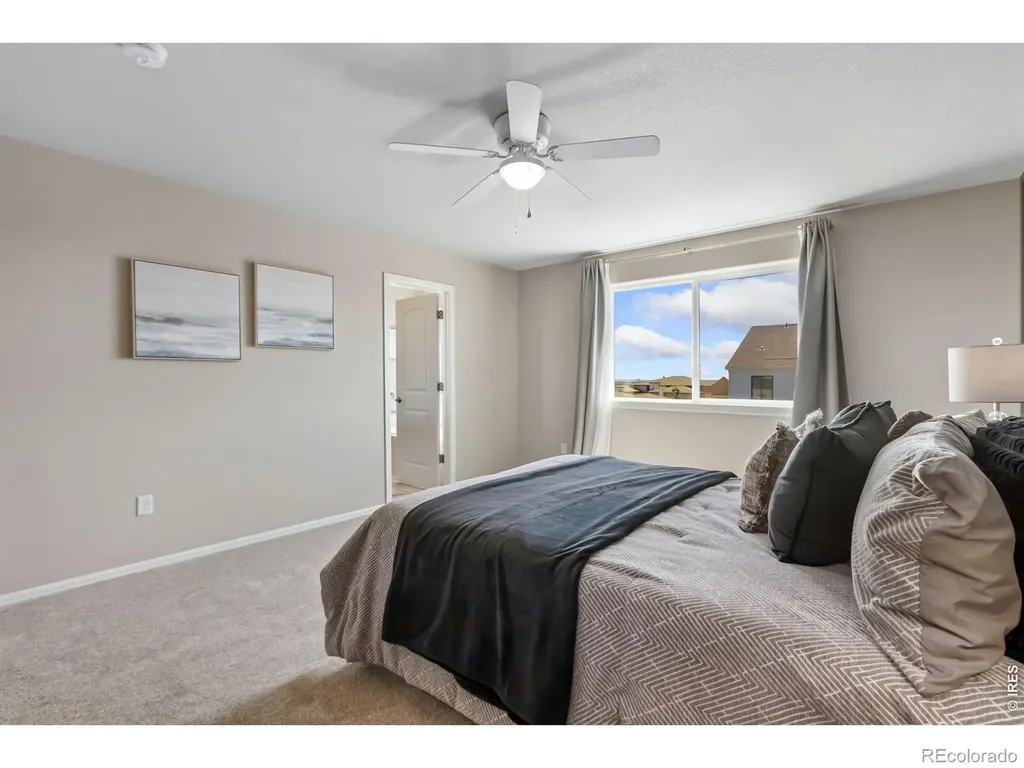 1631 Country Sun Court Windsor CO 80550