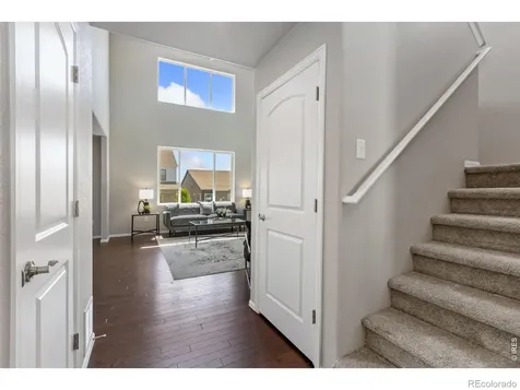 1631 Country Sun Court Windsor CO 80550