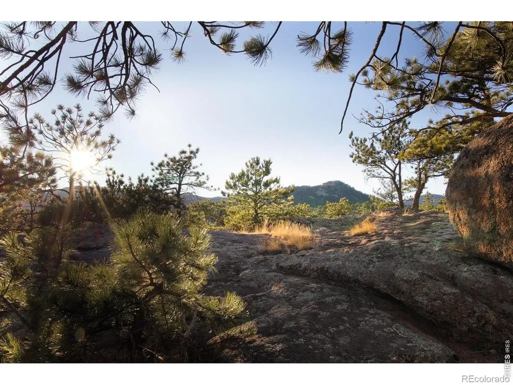 1893 Colard Lane Lyons CO 80540